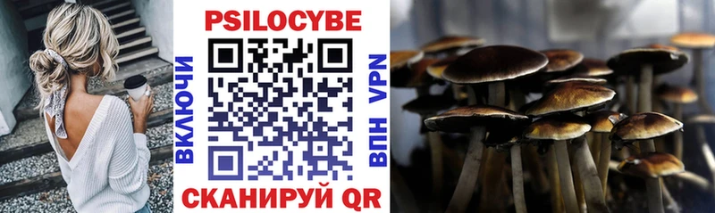 Псилоцибиновые грибы ЛСД  Южа 